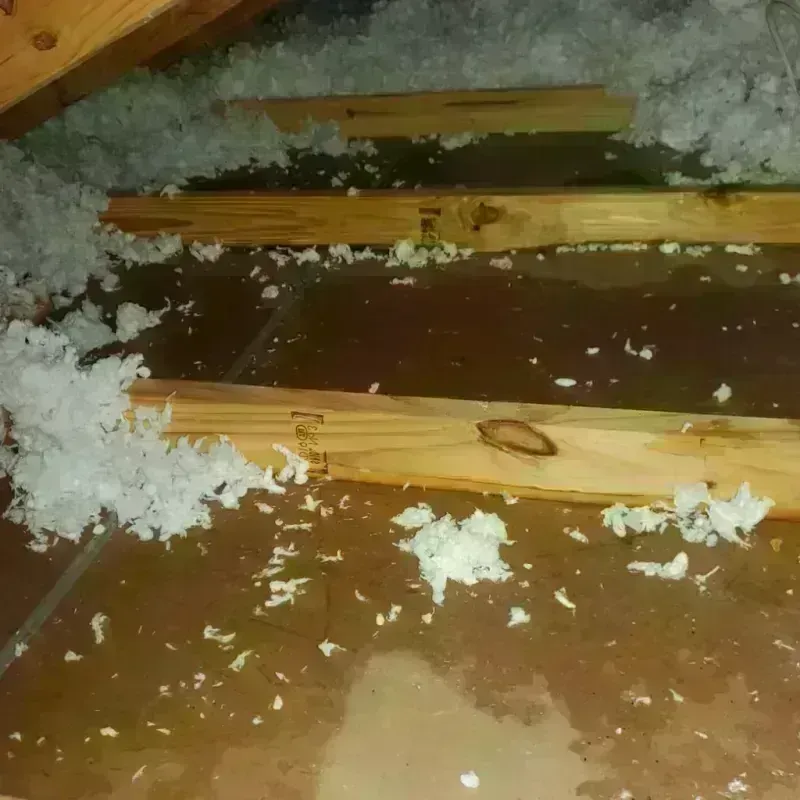 Attic Water Damage in Salem, NC