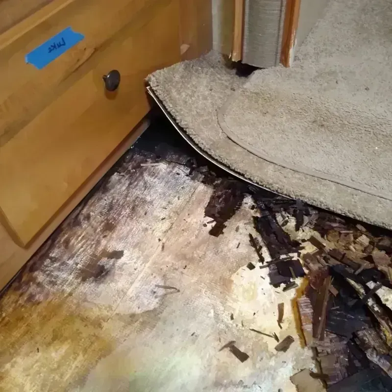 Best Wood Floor Water Damage Service in Salem, NC